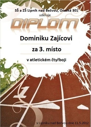 diplom-zajic