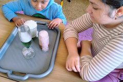 IMG_20251031_102314668_HDR_AE