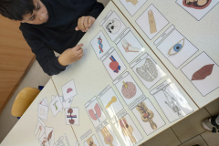 IMG_20260421_102118485_HDR