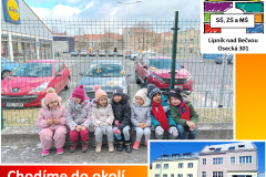Snímek16