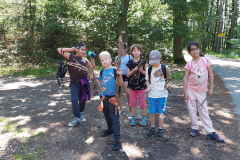 d7c0684d-ab97-4dfd-857b-c8ba109bbdb2