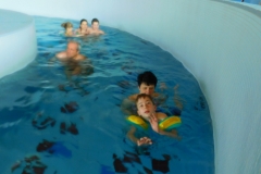 DSCN8531